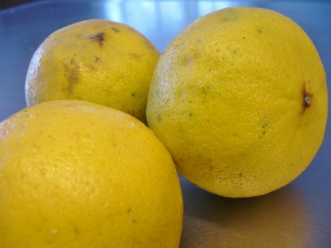 Bergamot citroenen voor bergamot marmelade