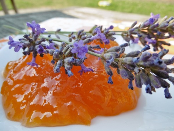 Abrikozenconfituur met lavendel